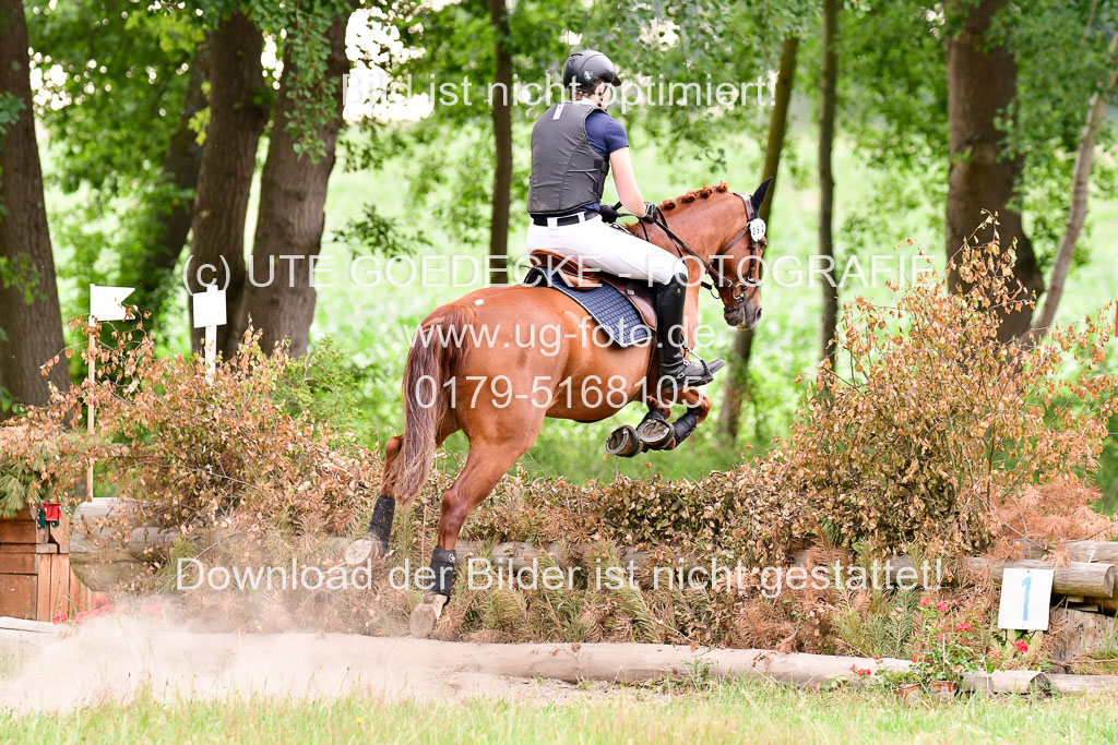 Mechtersen Geläneturnier  27.06.2021 | 270621 Hunterklasse _127 