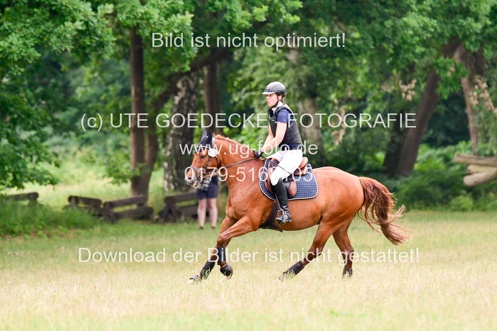Mechtersen Geläneturnier 27.06.2021 | 270621 Hunterklasse _133