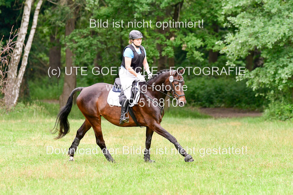 Mechtersen Geläneturnier  27.06.2021 | 270621 Hunterklasse _138 