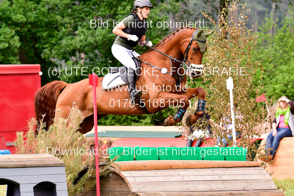 Mechtersen Geläneturnier  27.06.2021 | 270621 Hunterklasse _160 