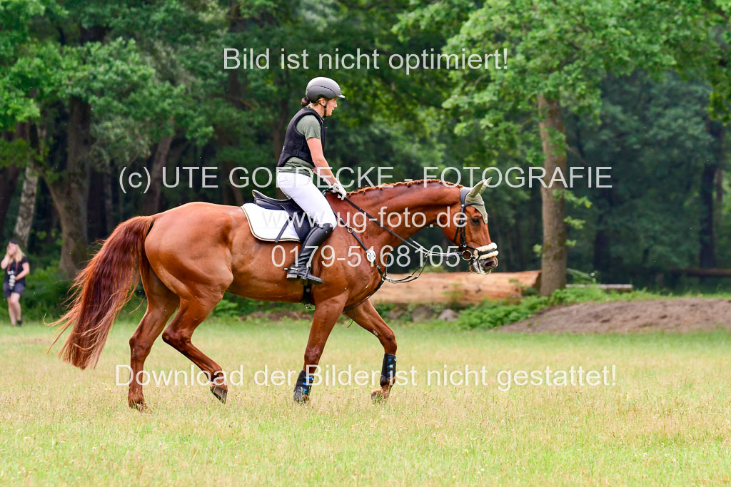 Mechtersen Geläneturnier  27.06.2021 | 270621 Hunterklasse _161 