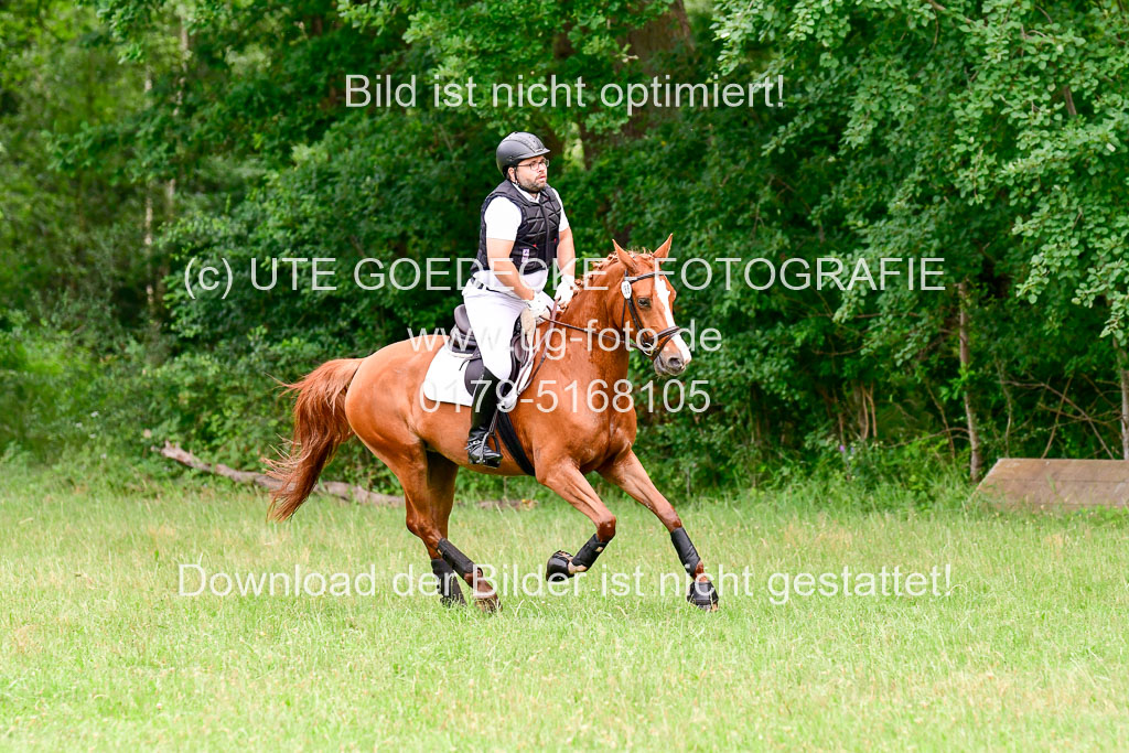 Mechtersen Geläneturnier  27.06.2021 | 270621 Hunterklasse _164 