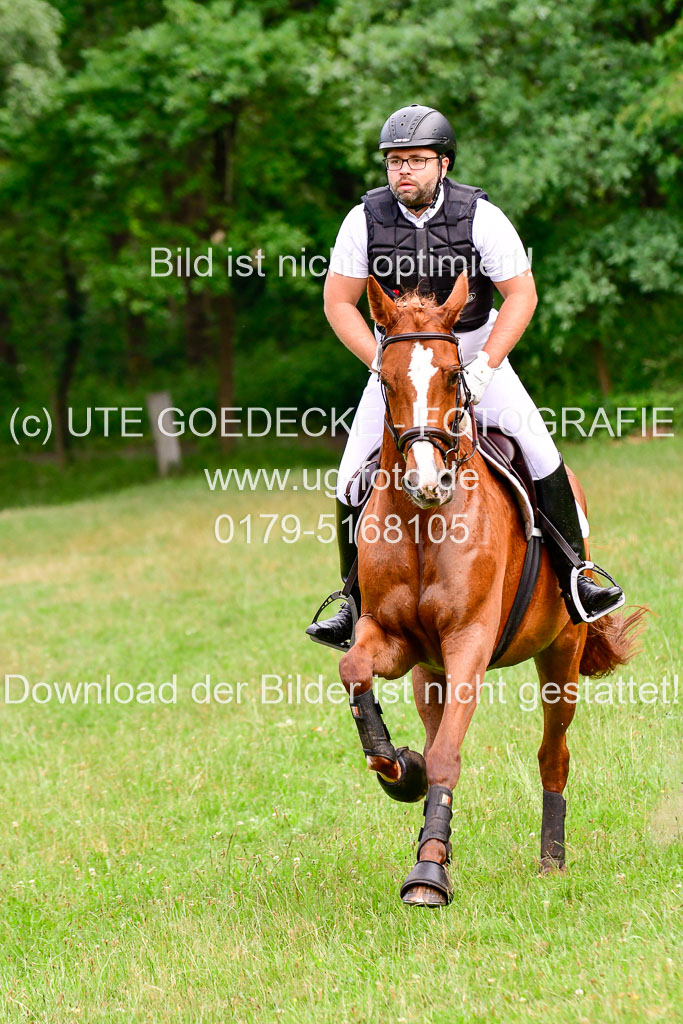 Mechtersen Geläneturnier  27.06.2021 | 270621 Hunterklasse _170 