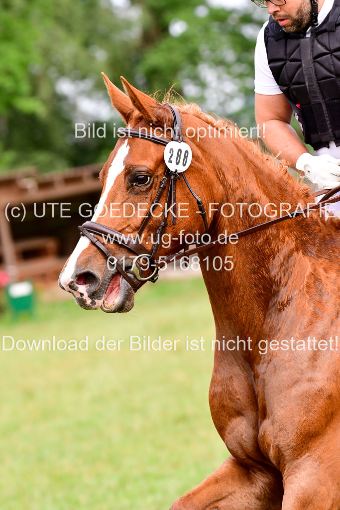 Mechtersen Geläneturnier  27.06.2021 | 270621 Hunterklasse _171 