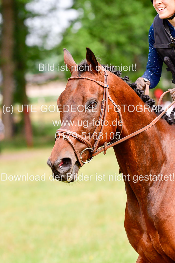 Mechtersen Geläneturnier  27.06.2021 | 270621 Hunterklasse _187 