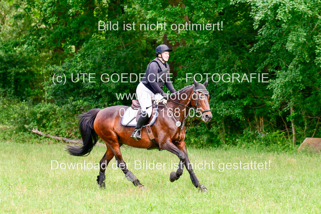 Mechtersen Geläneturnier  27.06.2021 | 270621 Hunterklasse _196 