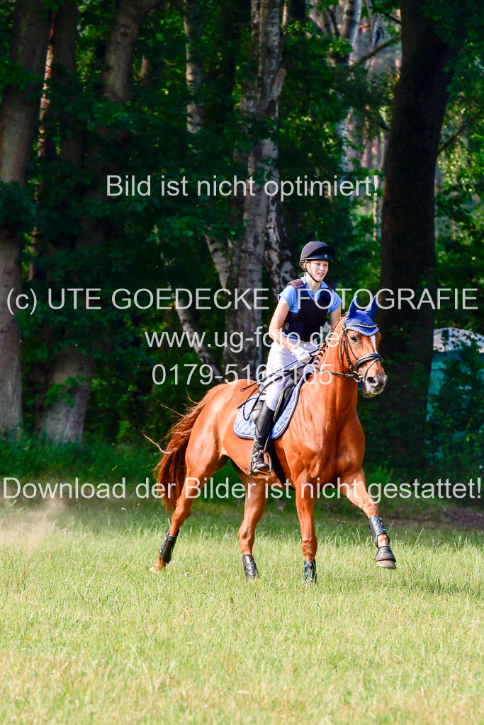 Mechtersen Geläneturnier 27.06.2021 | 270621 Hunterklasse _217