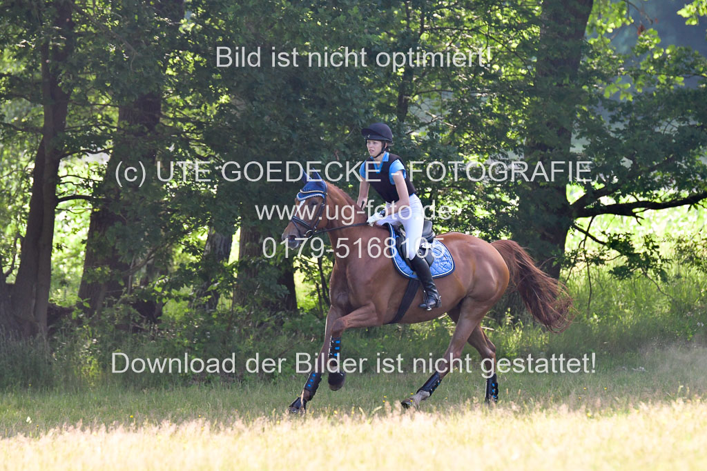 Mechtersen Geläneturnier 27.06.2021 | 270621 Hunterklasse _223