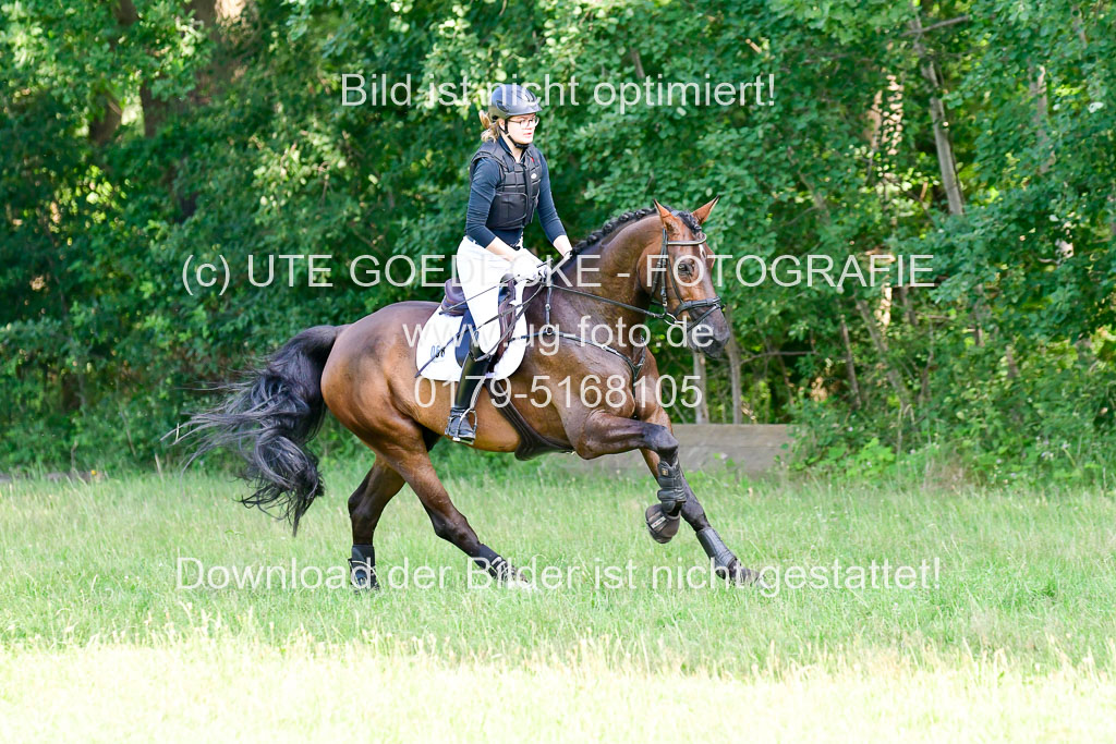 Mechtersen Geläneturnier  27.06.2021 | 270621 Hunterklasse _265 