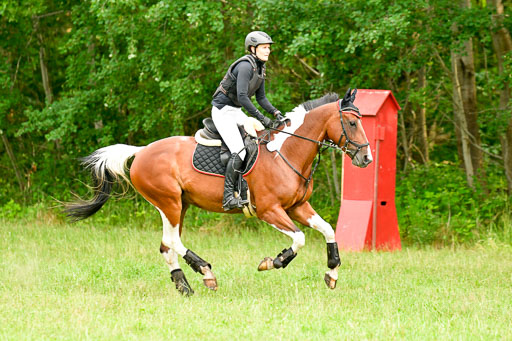 Mechtersen Geläneturnier  27.06.2021 | 270621 Hunterklasse _040 