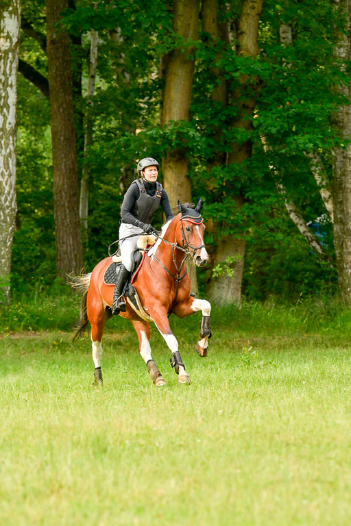 Mechtersen Geläneturnier  27.06.2021 | 270621 Hunterklasse _043 