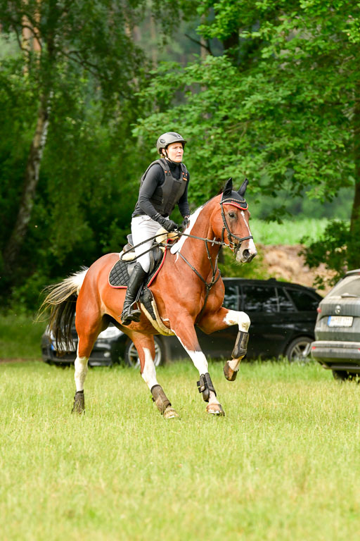 Mechtersen Geläneturnier  27.06.2021 | 270621 Hunterklasse _044 