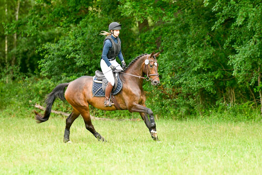 Mechtersen Geläneturnier  27.06.2021 | 270621 Hunterklasse _055 