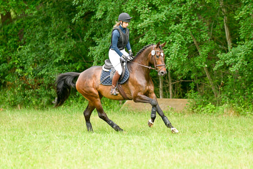 Mechtersen Geläneturnier  27.06.2021 | 270621 Hunterklasse _056 