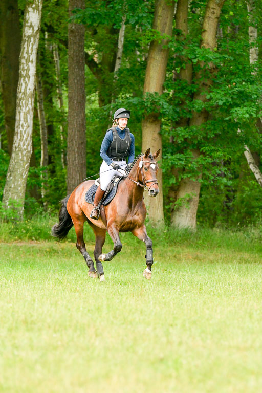 Mechtersen Geläneturnier  27.06.2021 | 270621 Hunterklasse _059 
