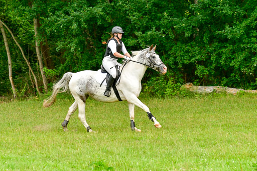 Mechtersen Geläneturnier  27.06.2021 | 270621 Hunterklasse _068 