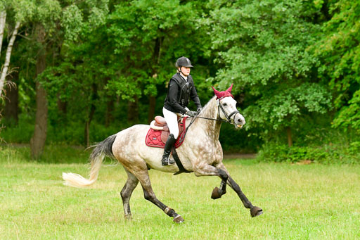 Mechtersen Geläneturnier  27.06.2021 | 270621 Hunterklasse _087 