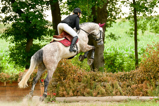 Mechtersen Geläneturnier  27.06.2021 | 270621 Hunterklasse _091 