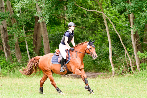 Mechtersen Geläneturnier  27.06.2021 | 270621 Hunterklasse _125 