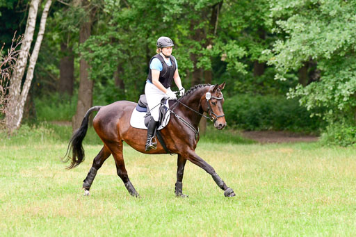 Mechtersen Geläneturnier  27.06.2021 | 270621 Hunterklasse _138 
