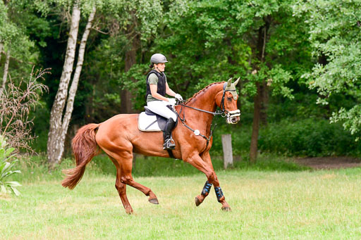 Mechtersen Geläneturnier  27.06.2021 | 270621 Hunterklasse _155 