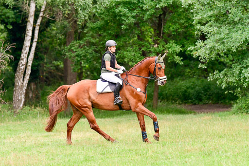 Mechtersen Geläneturnier  27.06.2021 | 270621 Hunterklasse _156 