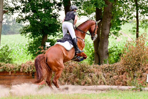 Mechtersen Geläneturnier  27.06.2021 | 270621 Hunterklasse _157 