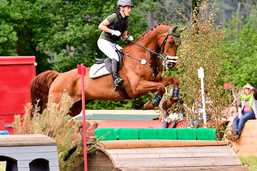 Mechtersen Geläneturnier  27.06.2021 | 270621 Hunterklasse _160 