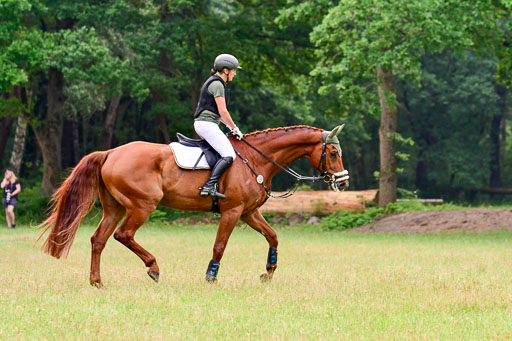 Mechtersen Geläneturnier  27.06.2021 | 270621 Hunterklasse _161 