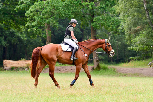 Mechtersen Geläneturnier  27.06.2021 | 270621 Hunterklasse _162 