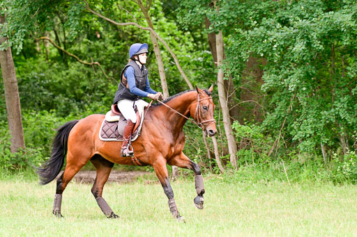 Mechtersen Geläneturnier  27.06.2021 | 270621 Hunterklasse _177 