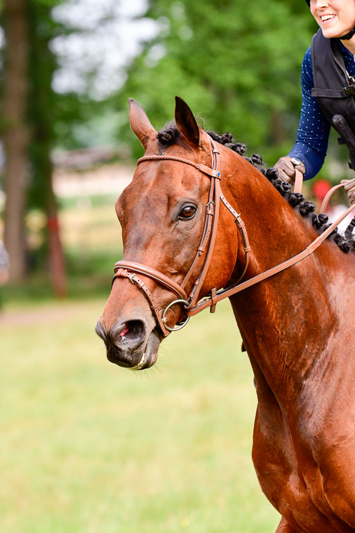 Mechtersen Geläneturnier  27.06.2021 | 270621 Hunterklasse _187 