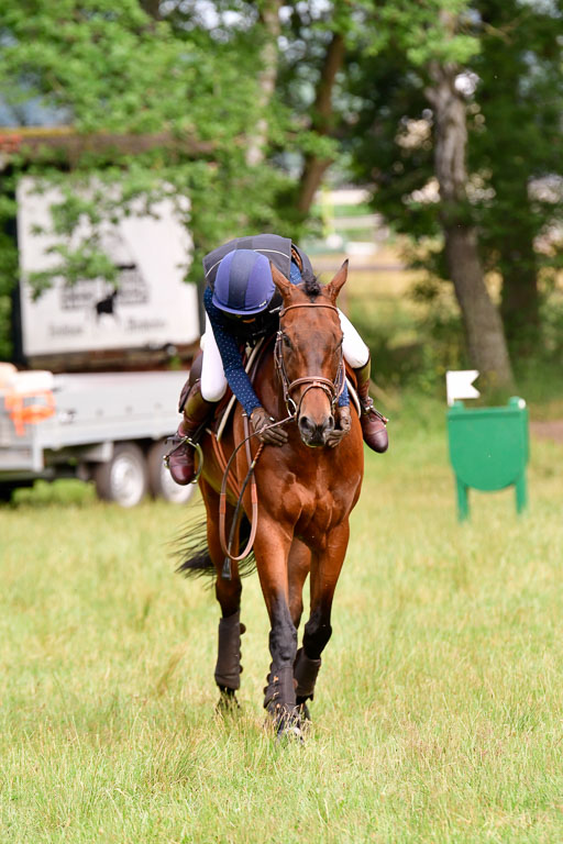 Mechtersen Geläneturnier  27.06.2021 | 270621 Hunterklasse _194 