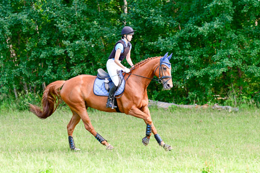 Mechtersen Geläneturnier  27.06.2021 | 270621 Hunterklasse _215 