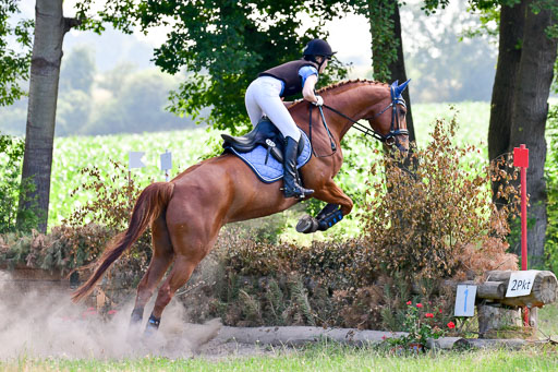 Mechtersen Geläneturnier  27.06.2021 | 270621 Hunterklasse _216 