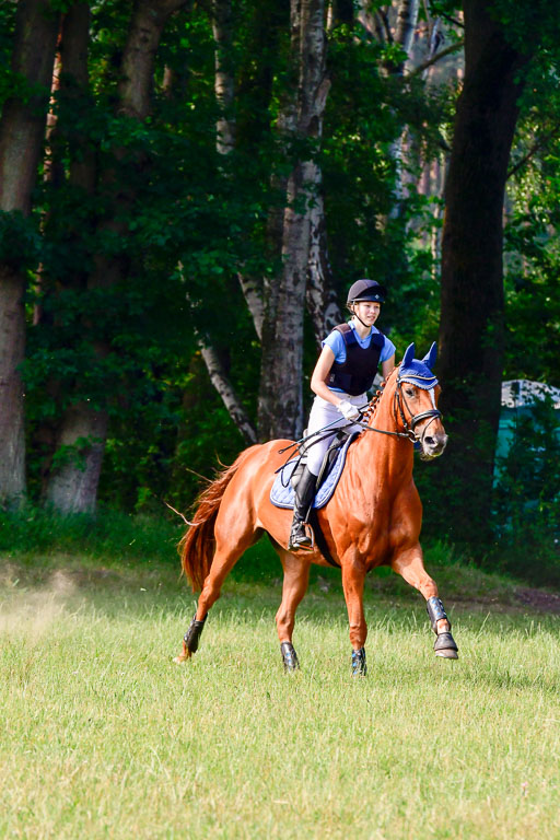 Mechtersen Geläneturnier  27.06.2021 | 270621 Hunterklasse _217 