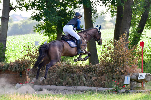 Mechtersen Geläneturnier  27.06.2021 | 270621 Hunterklasse _230 