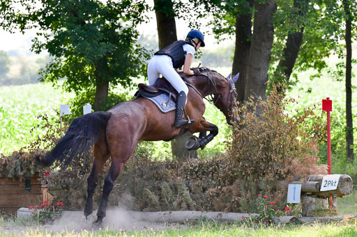 Mechtersen Geläneturnier  27.06.2021 | 270621 Hunterklasse _241 