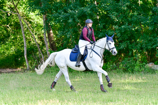 Mechtersen Geläneturnier  27.06.2021 | 270621 Hunterklasse _243 