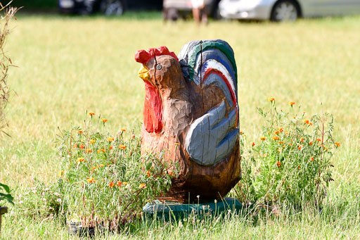 Mechtersen Geläneturnier  27.06.2021 | 270621 Hunterklasse _245 