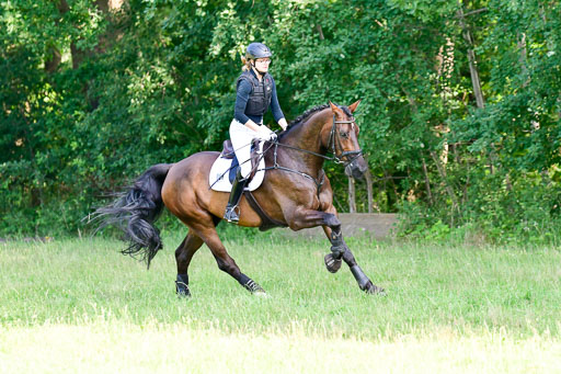 Mechtersen Geläneturnier  27.06.2021 | 270621 Hunterklasse _265 