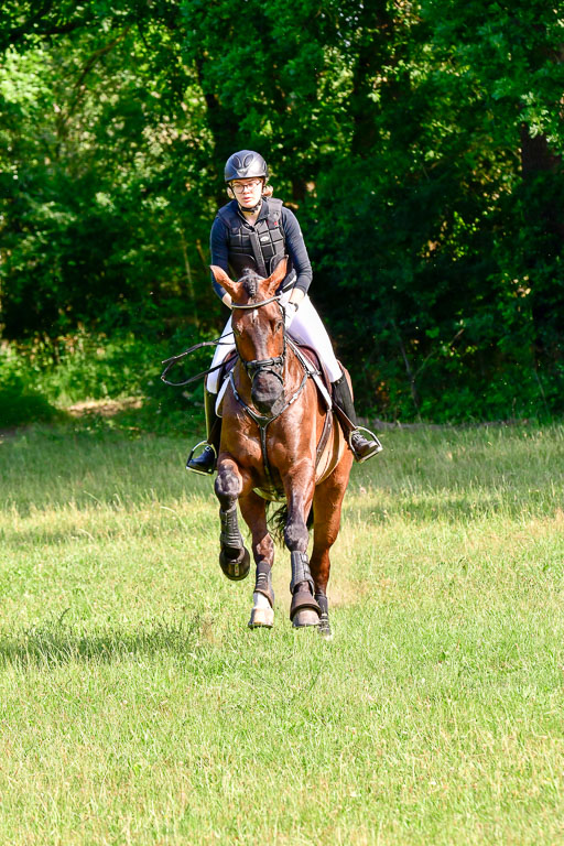 Mechtersen Geläneturnier  27.06.2021 | 270621 Hunterklasse _270 