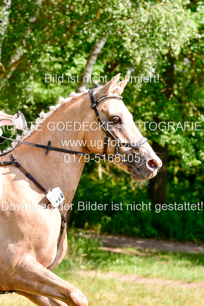 Mechtersen Geläneturnier 27.06.2021 | 270621 Mechtersener Derby _190