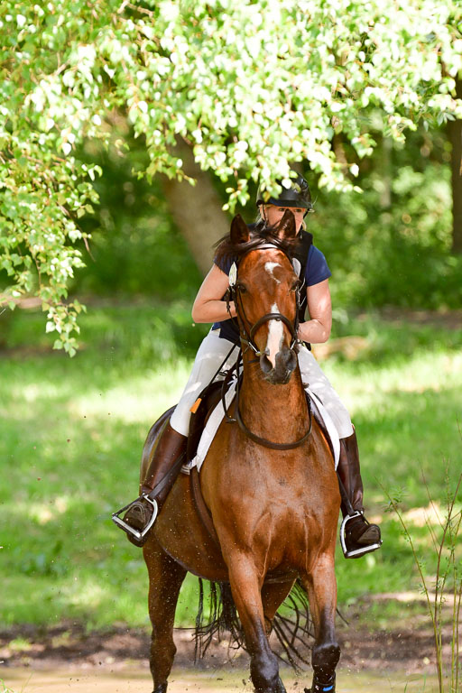 Mechtersen Geläneturnier  27.06.2021 | 270621 Mechtersener Derby _032 