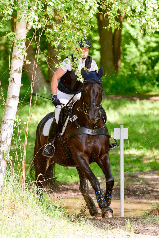 Mechtersen Geläneturnier  27.06.2021 | 270621 Mechtersener Derby _060 