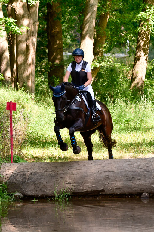 Mechtersen Geläneturnier  27.06.2021 | 270621 Mechtersener Derby _065 