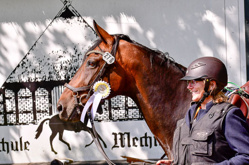 Mechtersen Geläneturnier  27.06.2021 | 270621 Mechtersener Derby _098 