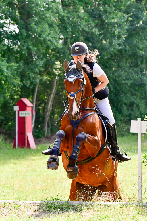 Mechtersen Geläneturnier  27.06.2021 | 270621 Mechtersener Derby _149 