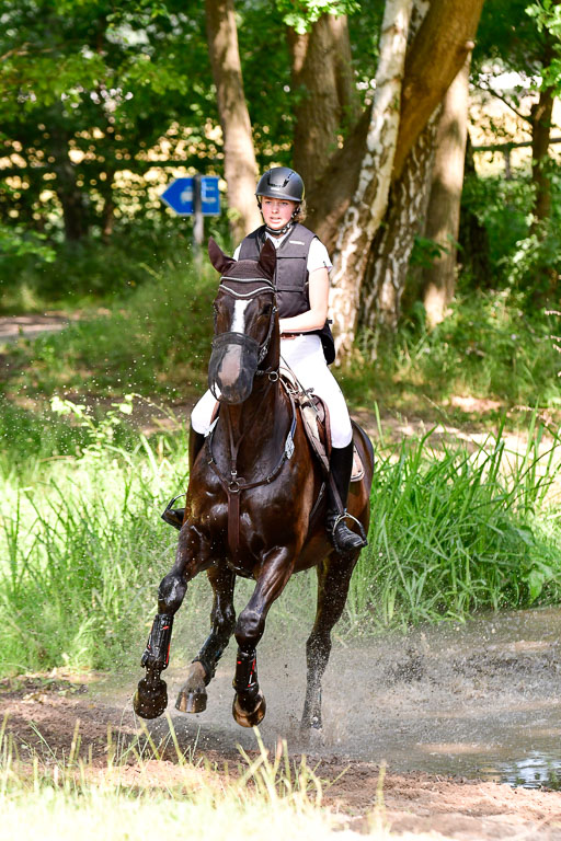 Mechtersen Geläneturnier  27.06.2021 | 270621 Mechtersener Derby _184 
