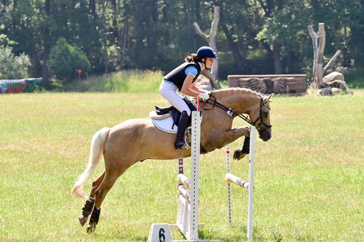 Mechtersen Geläneturnier  27.06.2021 | 270621 Mechtersener Derby _191 